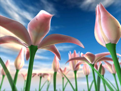 3d Images Of Nature Free Download
