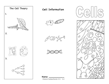 Animal Cells And Systems Journal