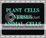 Animal Cells Video