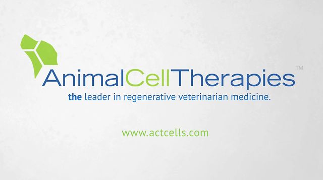 Animal Cells Video