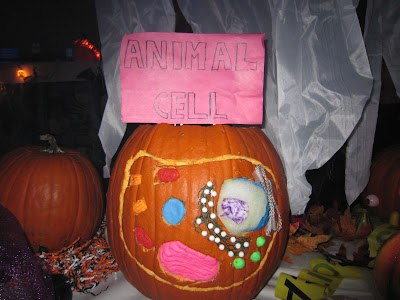 Animal Cells Video For Kids