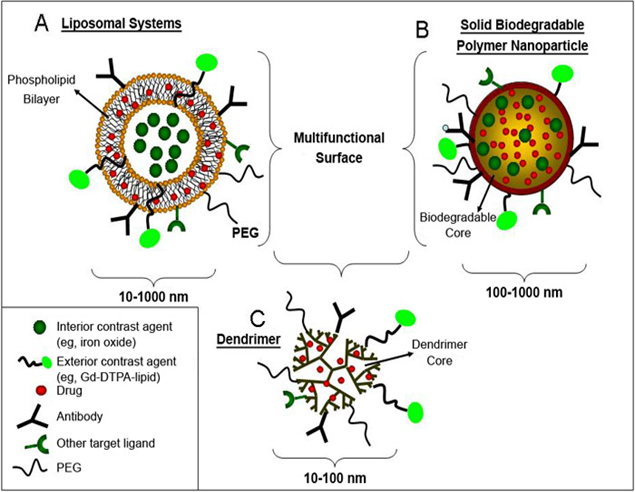 Applications Of Nanotechnology In Cancer Treatment