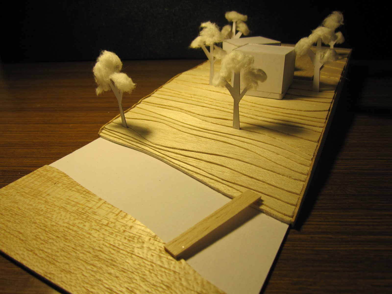 Balsa Wood Model House