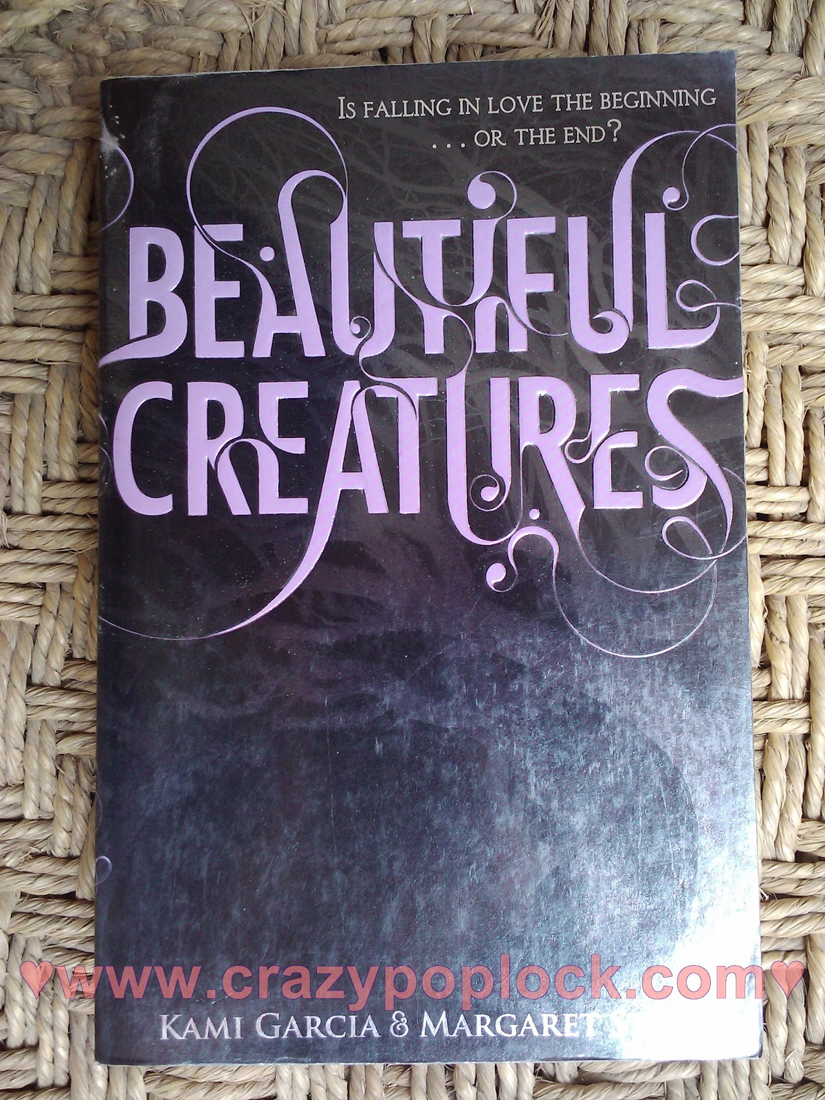 Beautiful Creatures Book 1 Summary