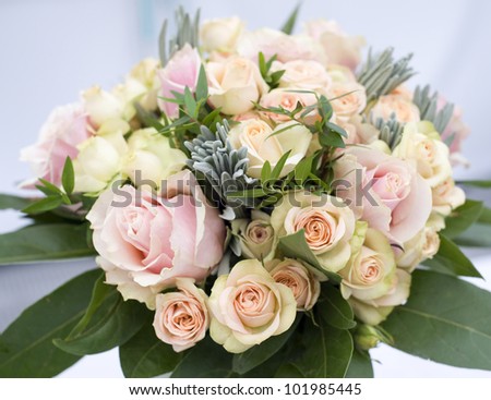 Beautiful Flowers Roses Pink