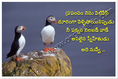 Beautiful Quotes On Friendship In Telugu