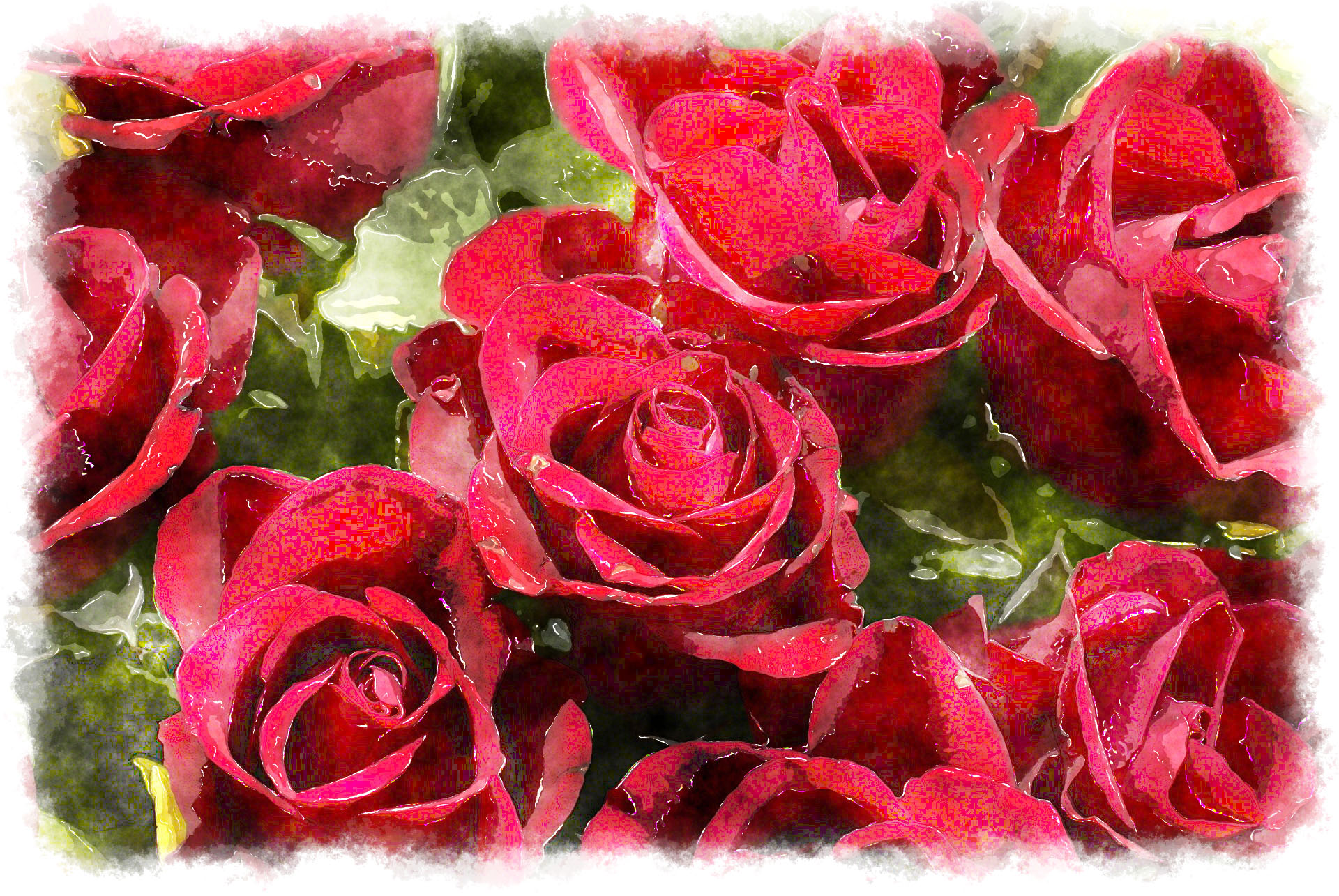 Beautiful Wallpapers Of Roses