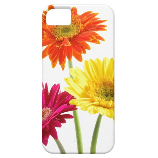 Best Iphone 5 Cases For Girls