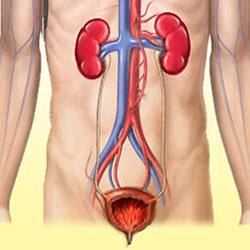 Bladder Cancer Symptoms