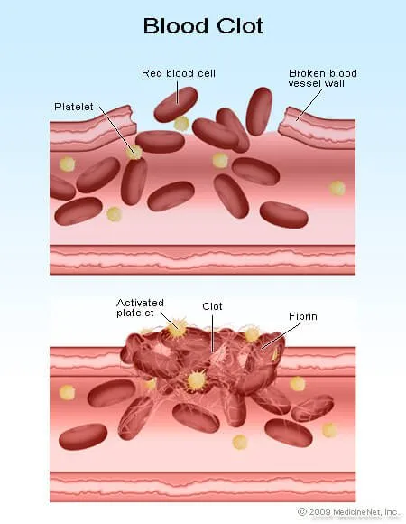 Blood Cells For Kids