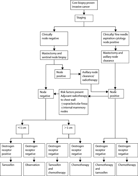 Breast Cancer Treatment Algorithm