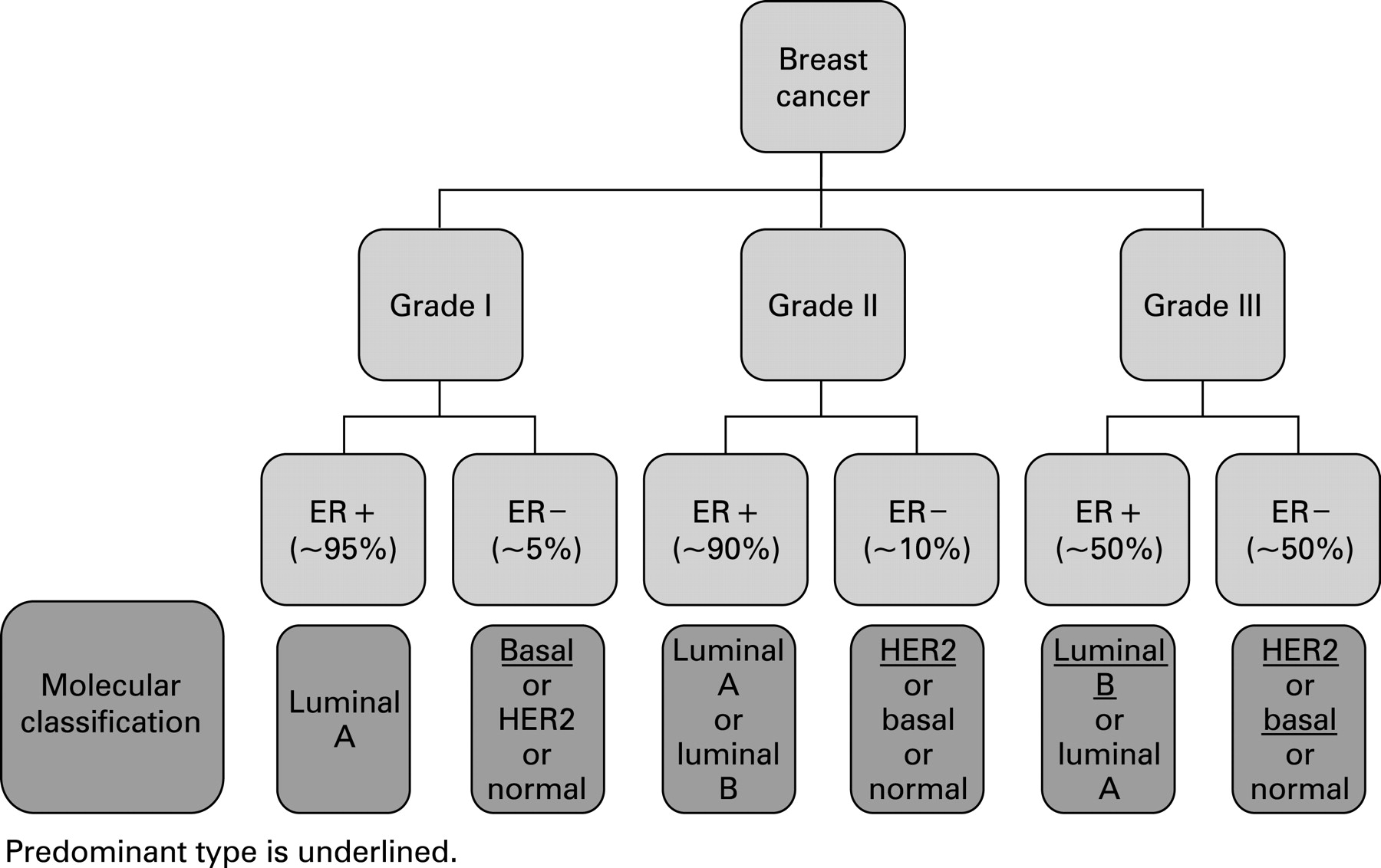 Breast Cancer Treatment Algorithm