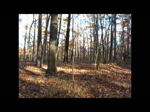 Cabins Near Devils Den Arkansas