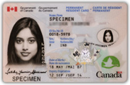 Canada Immigration Form Imm 0008