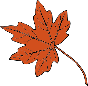 Canada Maple Leaf Outline