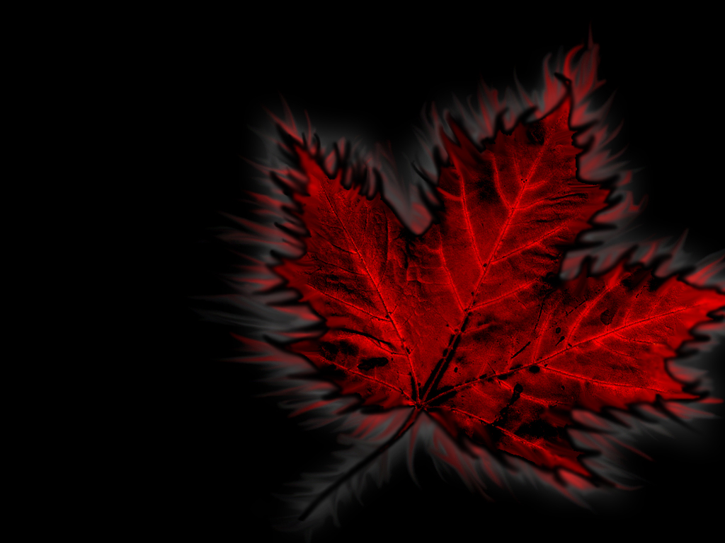 Canada Maple Leaf Wallpaper