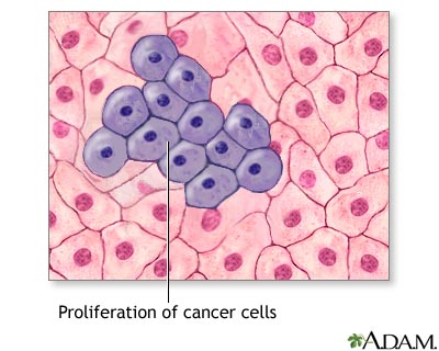 Cancer Cell Division Video