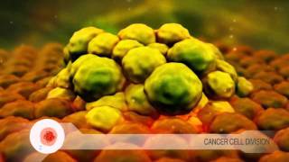 Cancer Cell Division Video