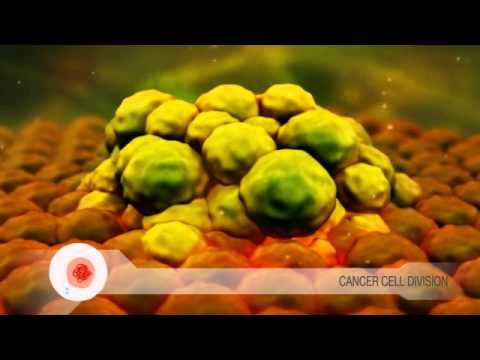 Cancer Cell Division Video