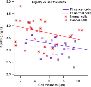 Cancer Cells And Normal Cells Difference