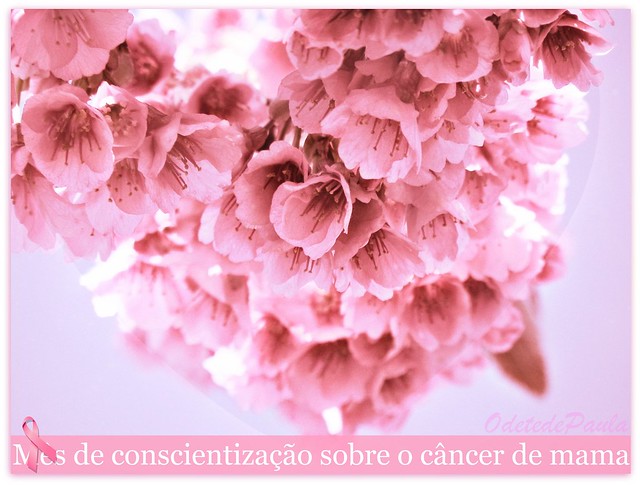 Cancer De Mama Campanha