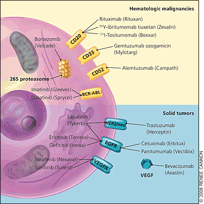 Cancer Treatment