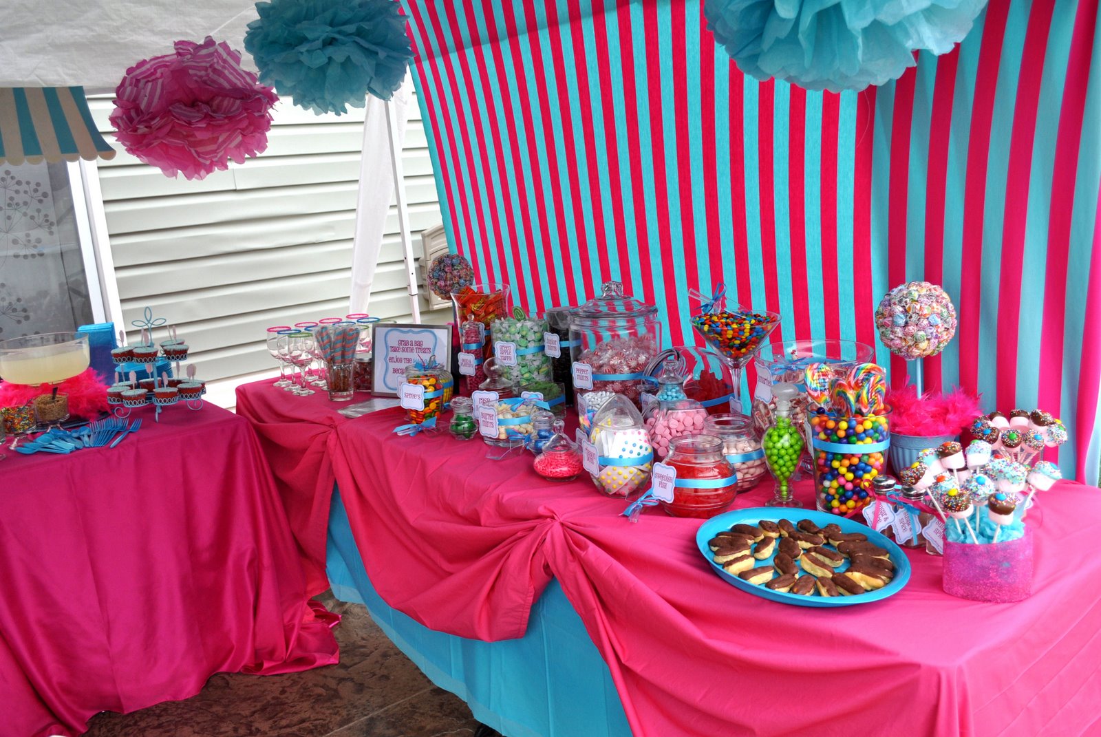 Candy Shoppe Birthday Party Decorations