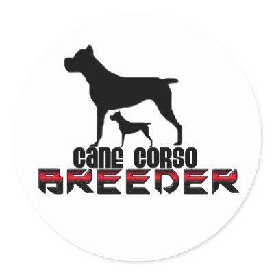 Cane Corso Australia Breeders