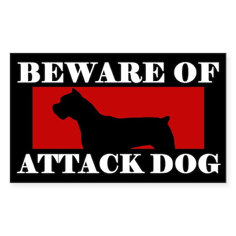 Cane Corso Dog Attacks