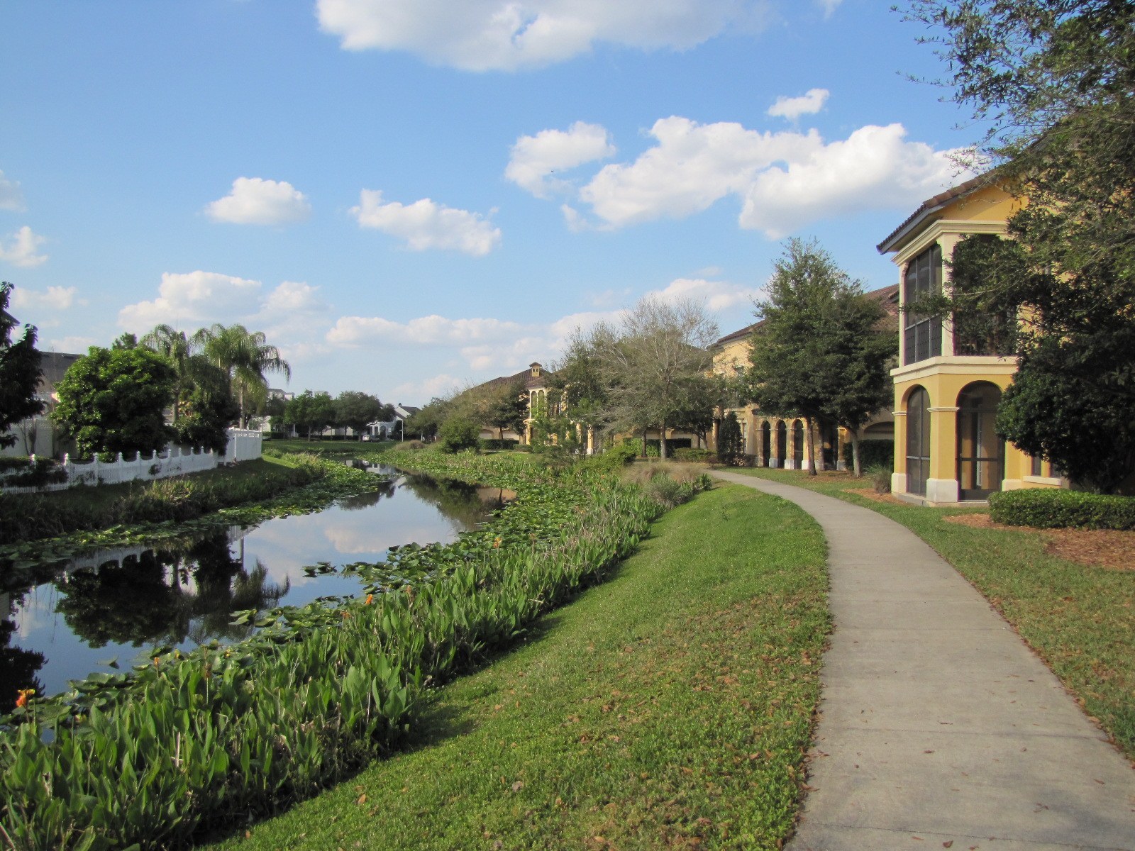 Celebration Florida Real Estate Condos