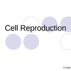 Cell Division Mitosis And Meiosis Powerpoint Presentation
