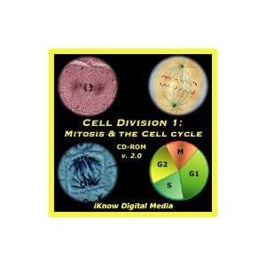 Cell Division Mitosis Song