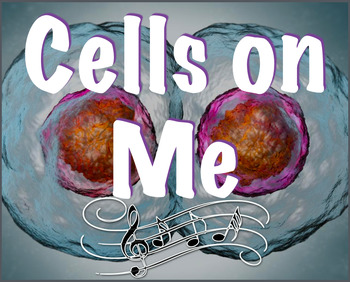 Cell Division Song Lyrics