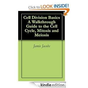 Cell Division Stages For Kids