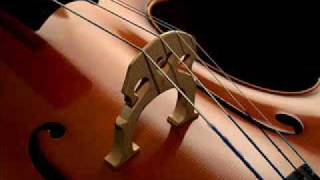 Cello Concerto In E Minor Op. 85