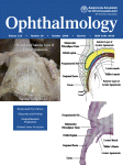 Cellophane Maculopathy Definition