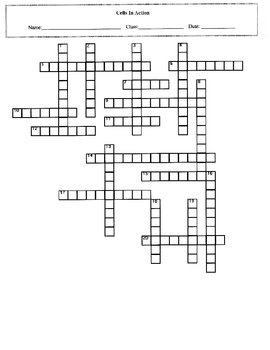 Cells And Tissues Crossword