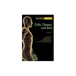 Cells And Tissues Of The Human Body