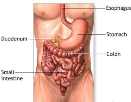 Colon Cancer Symptoms In Women Stage 4