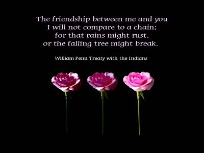 Cute Images Of Friendship Quotes