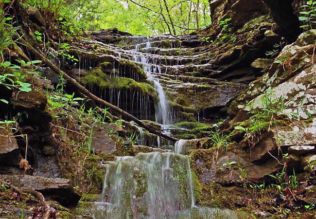 Devils Den Arkansas Caves