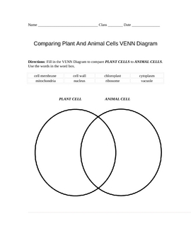 Diagram Of Plant And Animal Cells For Kids