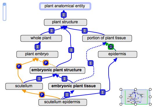 Differentiated Plant Cells And Tissues Include