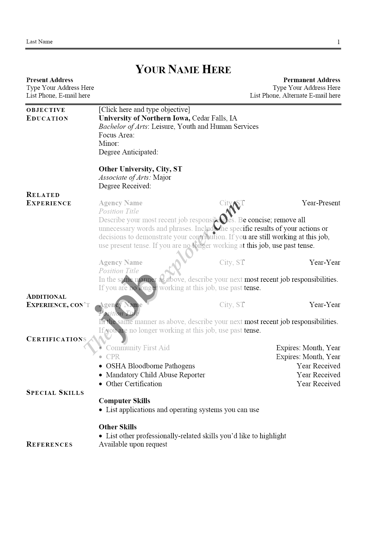 Example Format Of Resume For Job