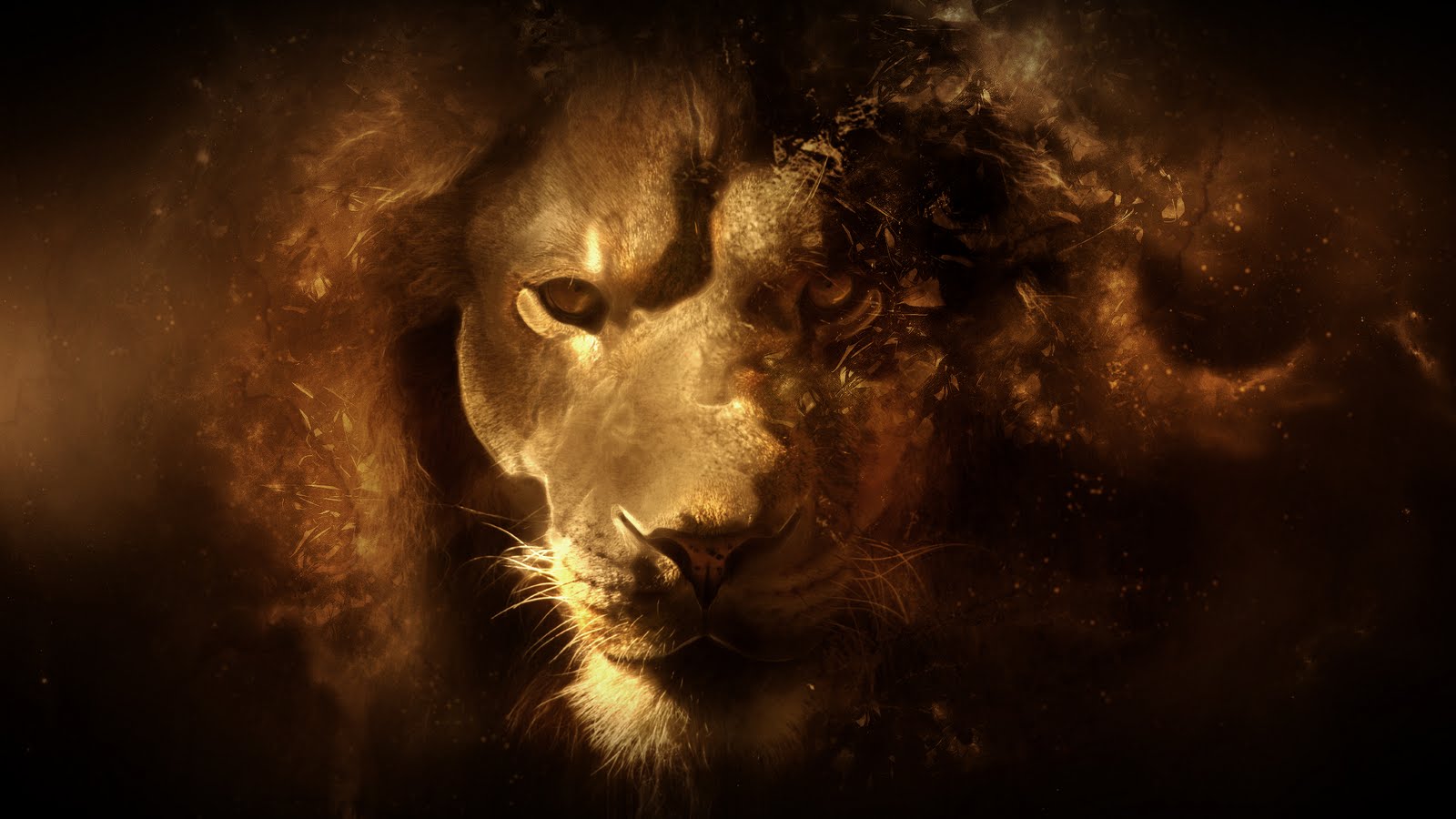 Fire Lion Wallpaper Hd