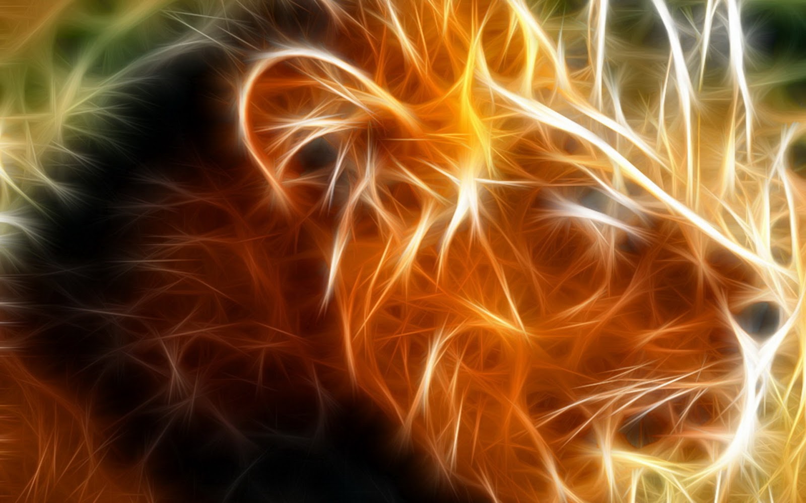 Fire Lion Wallpaper Hd