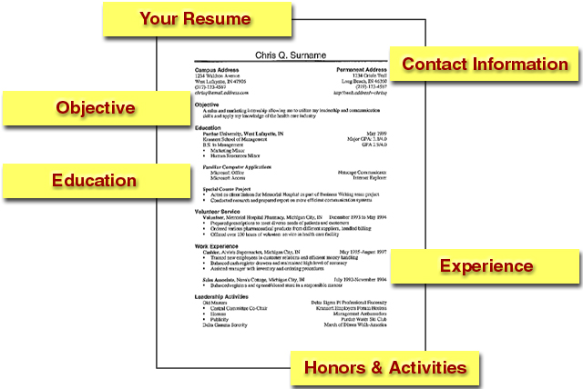 Format Of Resume For Students