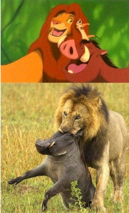 Funny Lion King Quotes