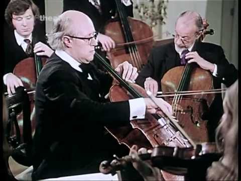 Haydn Cello Concerto 3