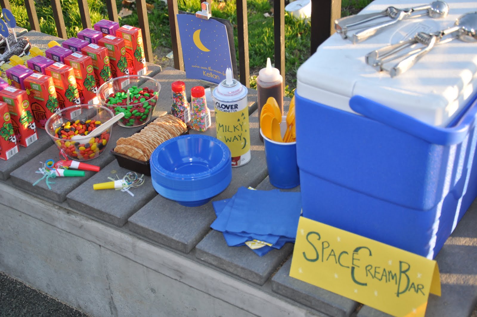 Ice Cream Sundae Bar Toppings